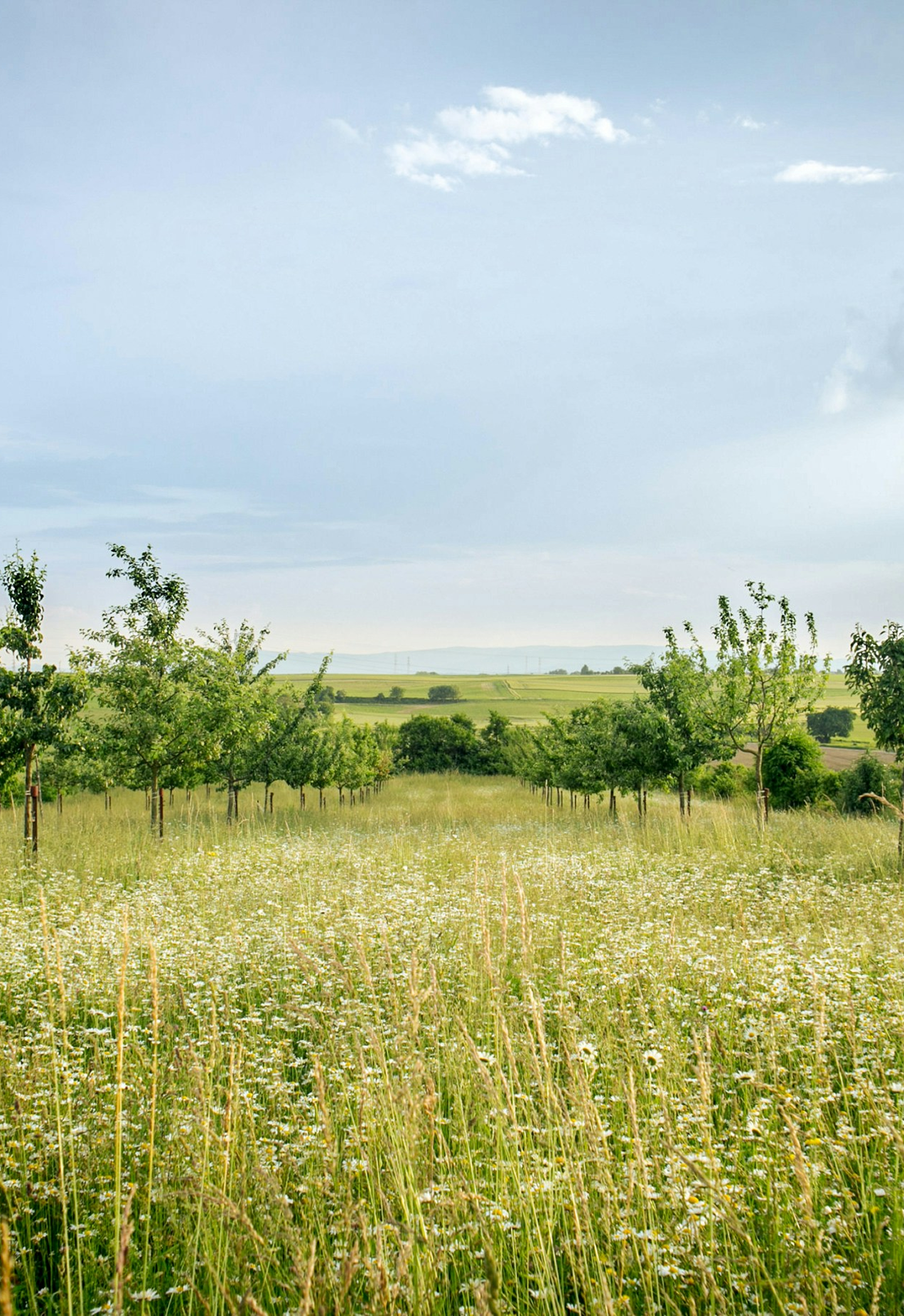 O2Heal Corporate Workshop